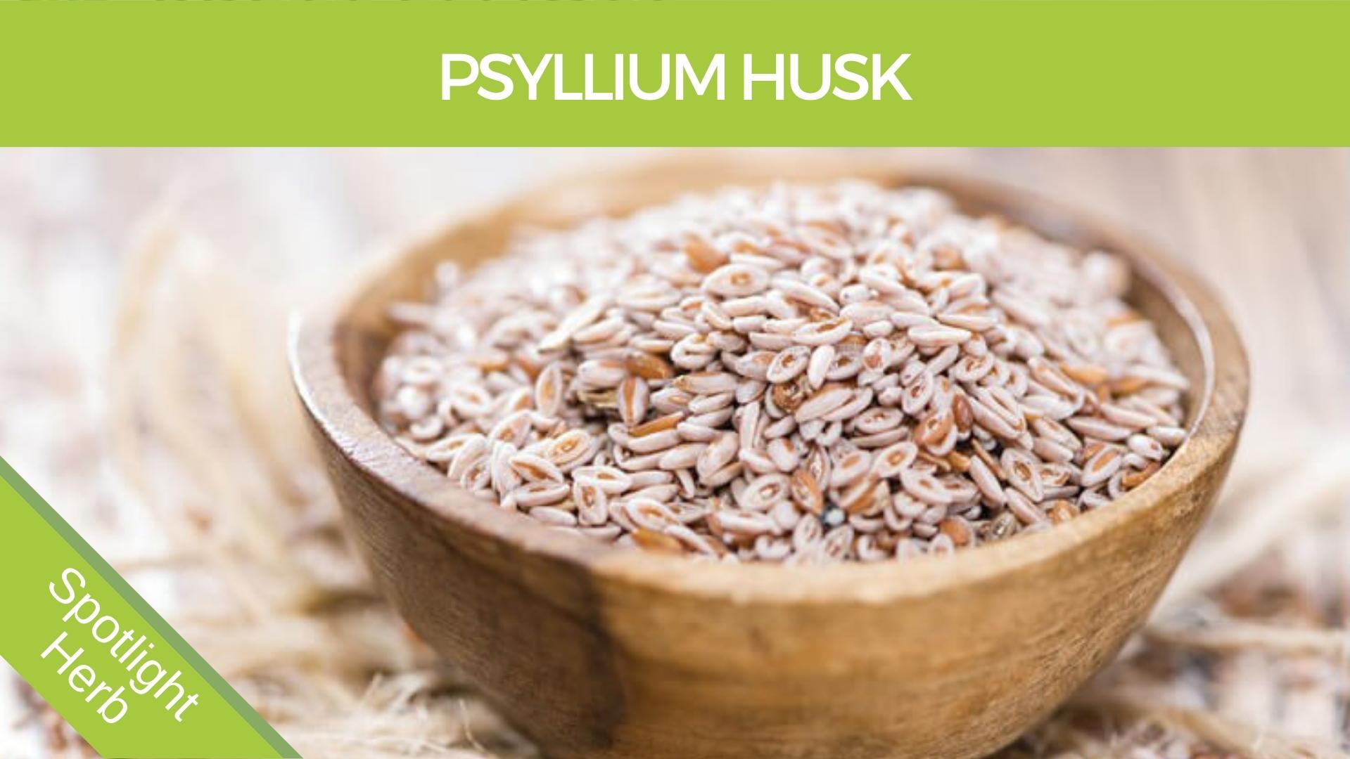 Psyllium husk in bowl