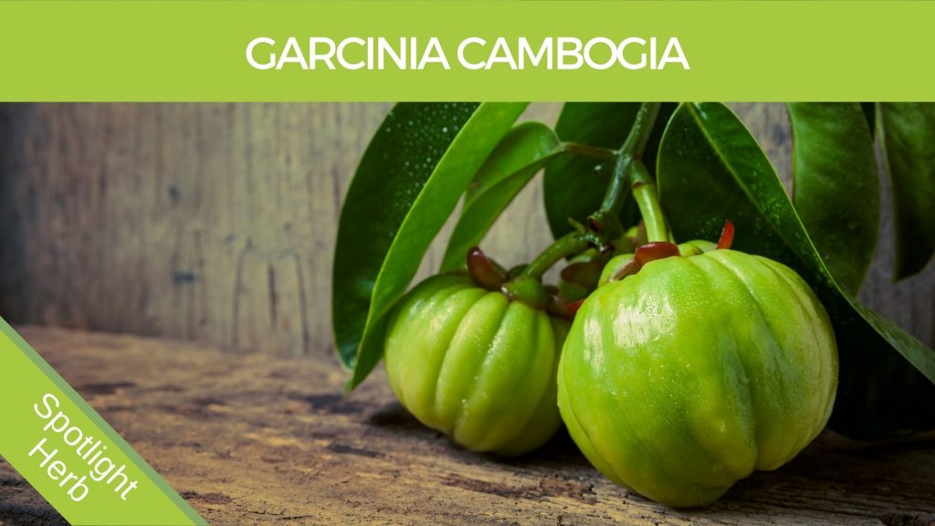 Garcinia Cambogia Fruit