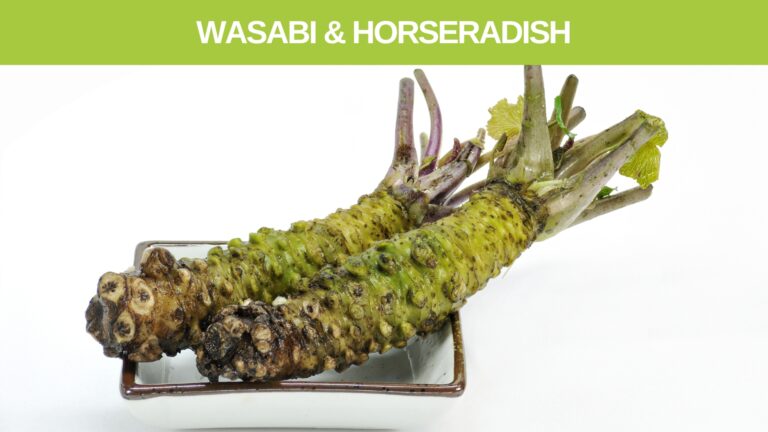 Wasabi & horseradish