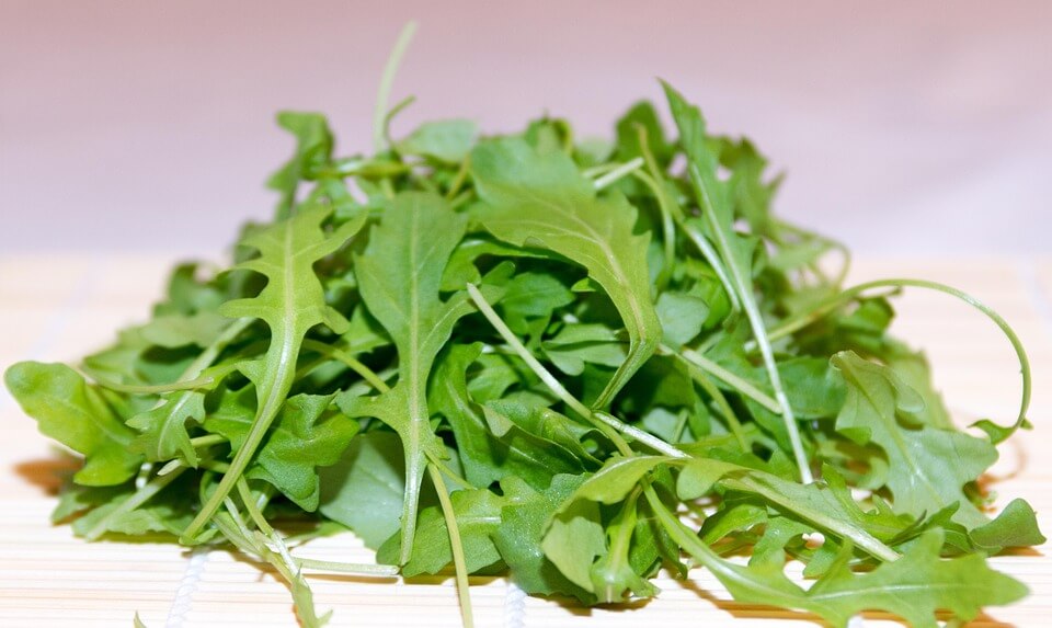 Arugula 