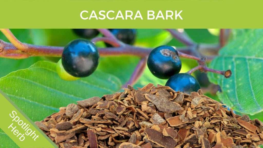 Cascara Bark and Leaves