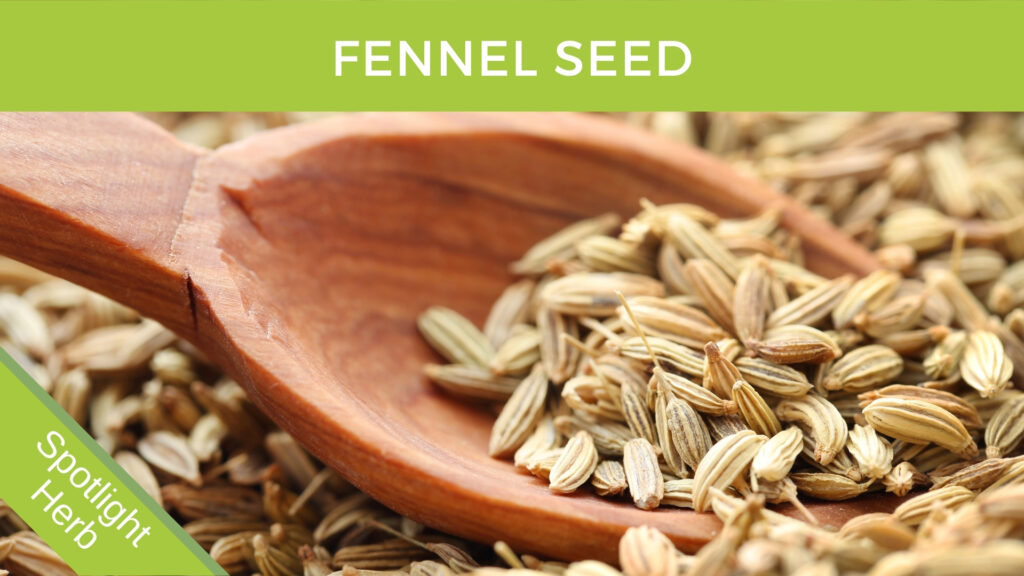 Fennel Seeds