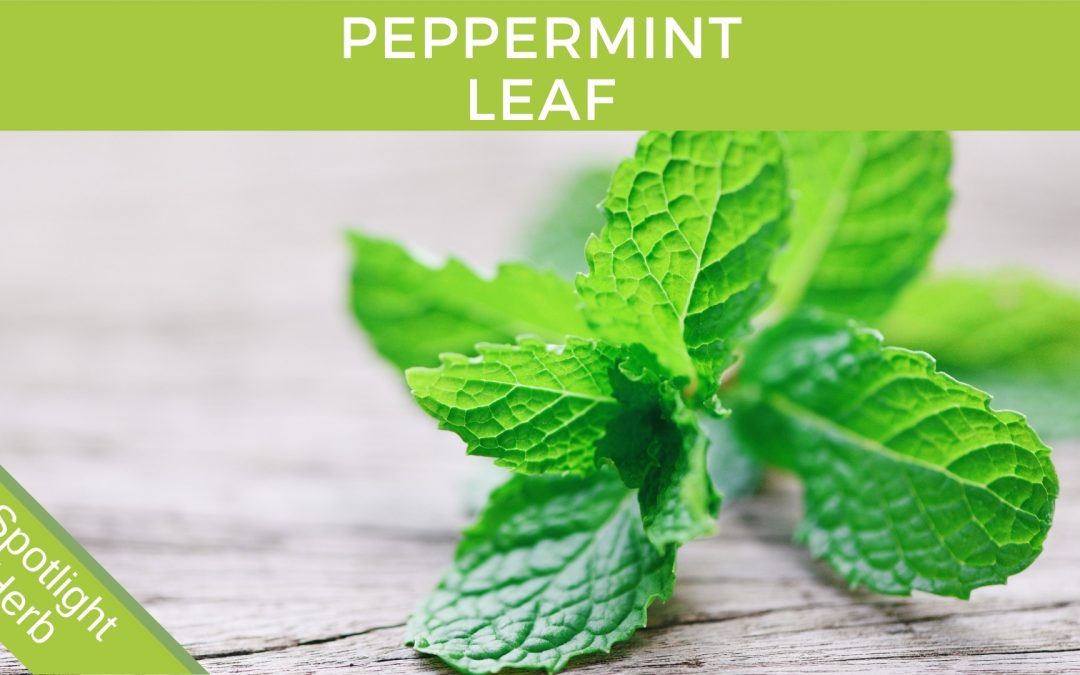 Peppermint Leaf