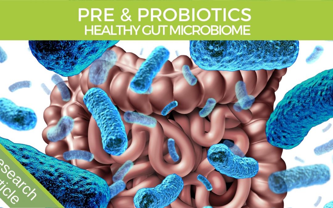 Probiotics prebiotics gut microbiome
