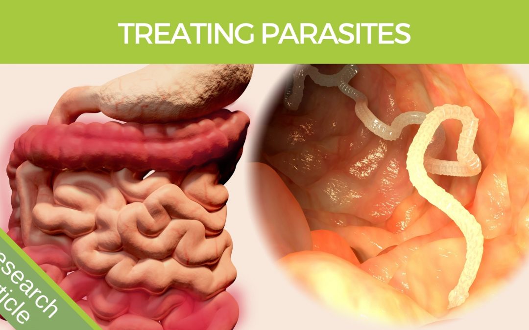 what is best parasite cleanse