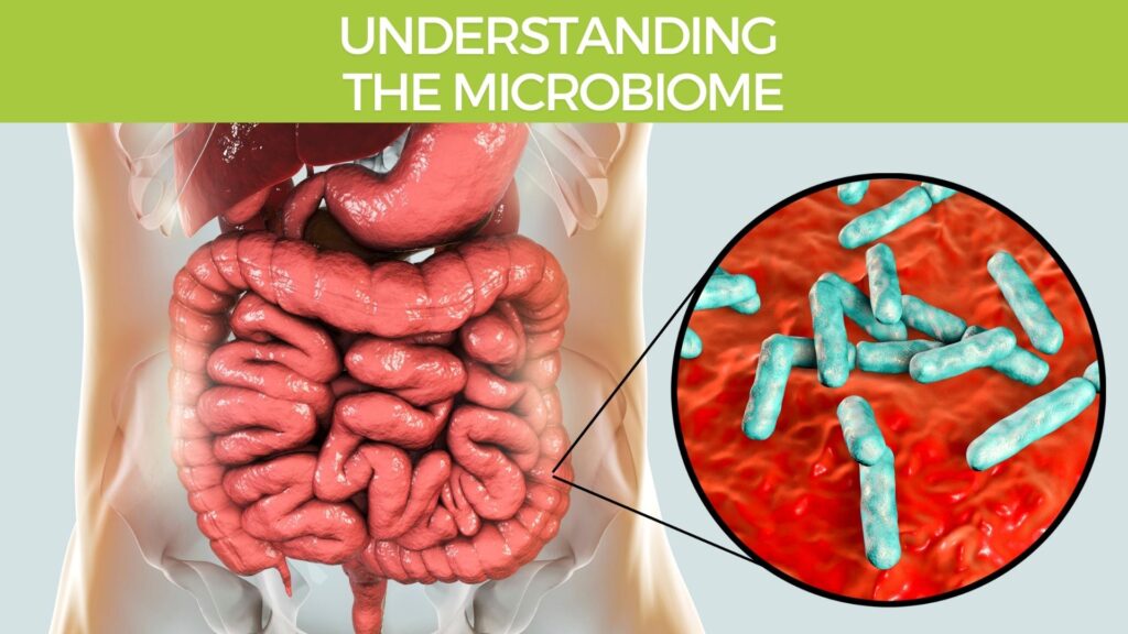 Understanding The Gut Microbiome