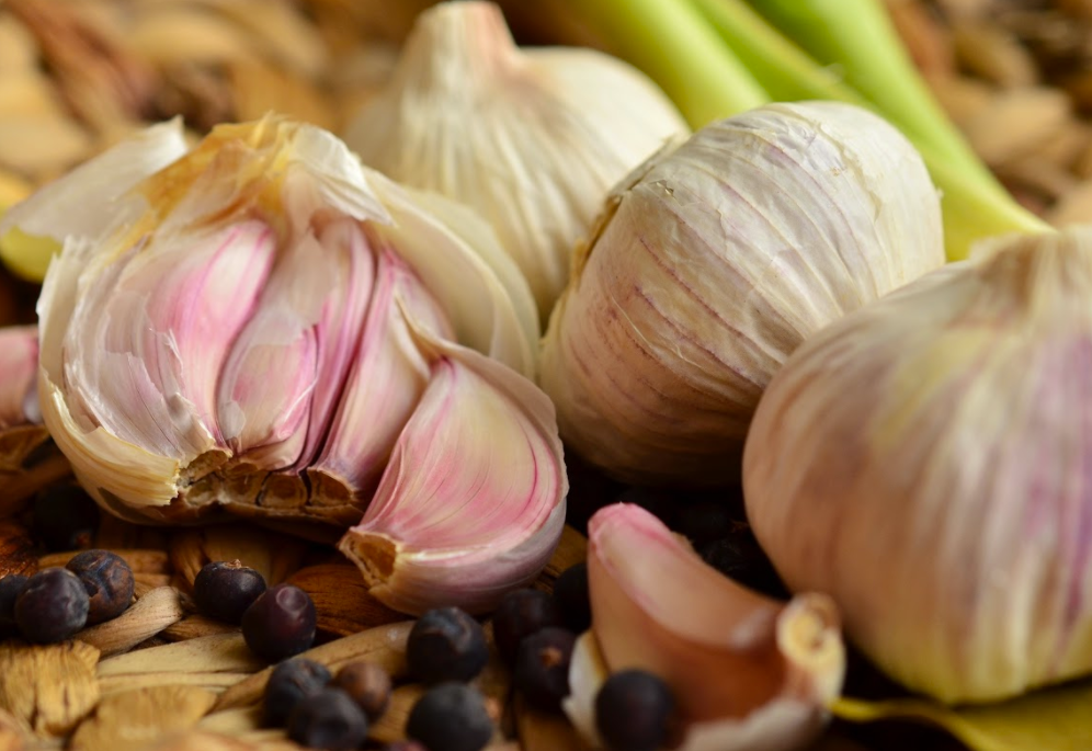 Parasite Cleanse Detox Program & Home Remedies Brett Elliott