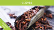Clove bud as an antimicrobial
