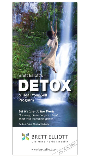 DETOX and Heal Yourself Program eBook