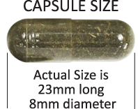Detox capsule dimensions