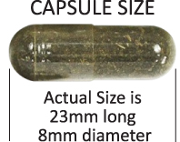 detox capsule dimensions