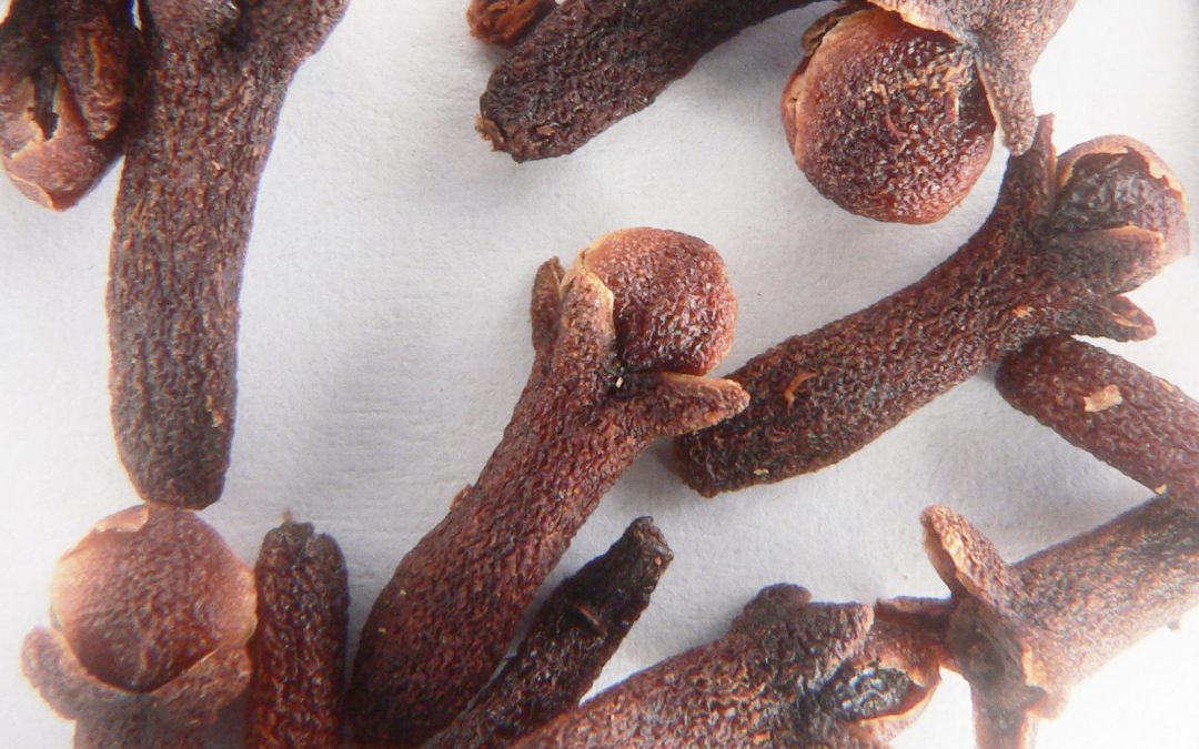 Cloves (Syzygium Aromaticum) Herbal Monograph Brett Elliott