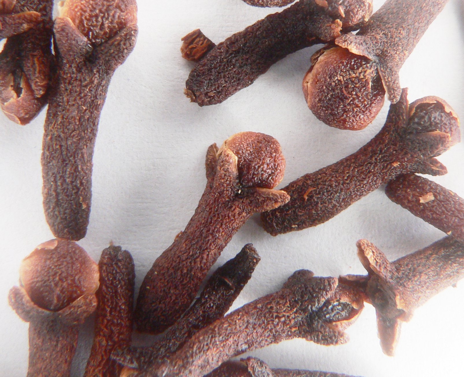 cloves