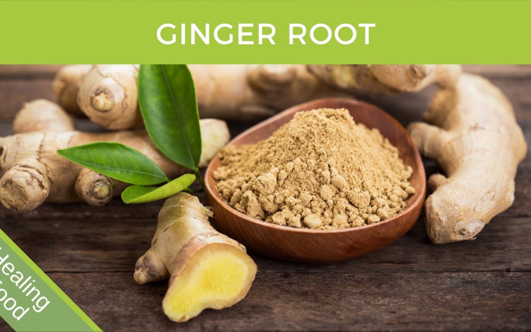 Ginger (Zingiber Officinale) Rhizome Herbal Monograph Brett Elliott