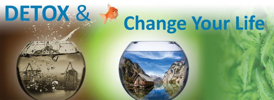 Detox and Change Your Life Banner
