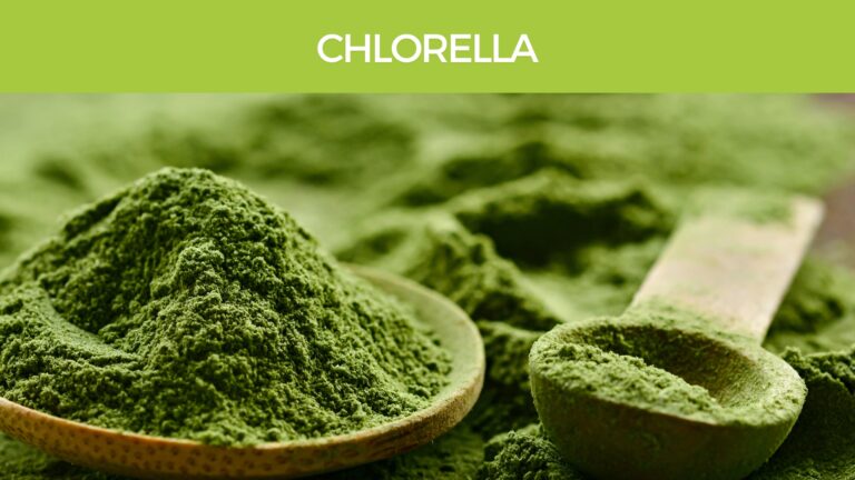 Chlorella as a Superfood to detox heavy metals