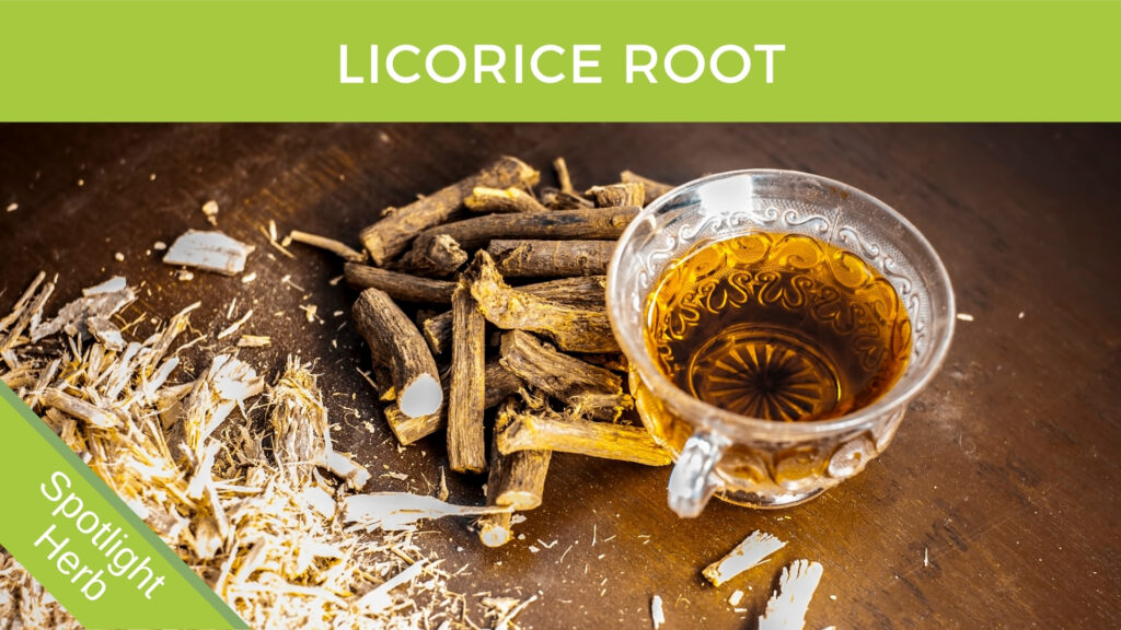 Licorice Root Tea in a Cup