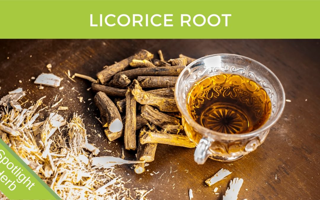 Licorice Root Tea in a Cup