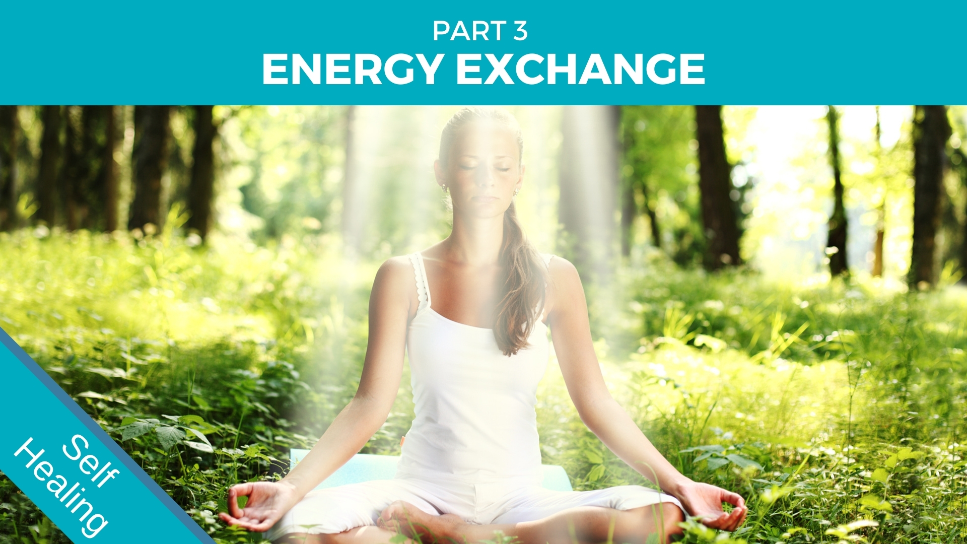 Unconditional Energy Healing Part 3 Energy Exchange Brett Elliott
