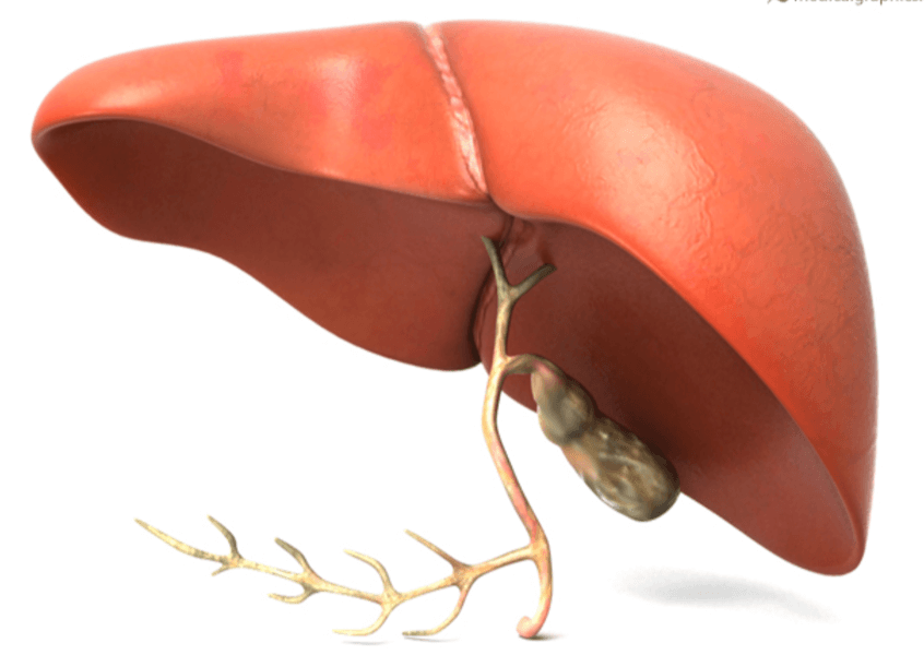 The Ultimate Herbal Liver Detox Program