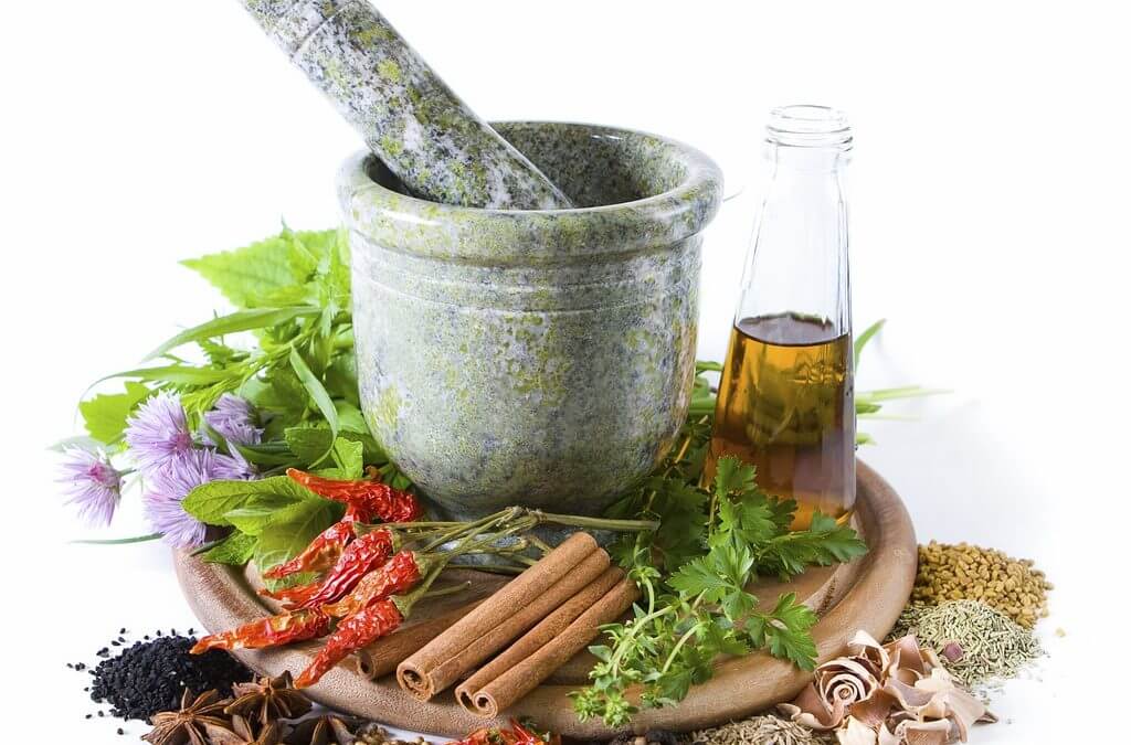 How Herbal Medicine Works Brett Elliott How Herbal Medicine Works Brett Elliott