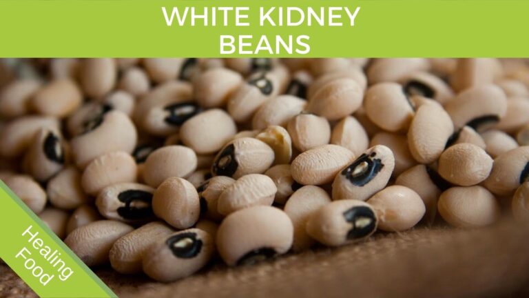 White Kidney Bean Extract