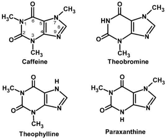 guarana pharmacology