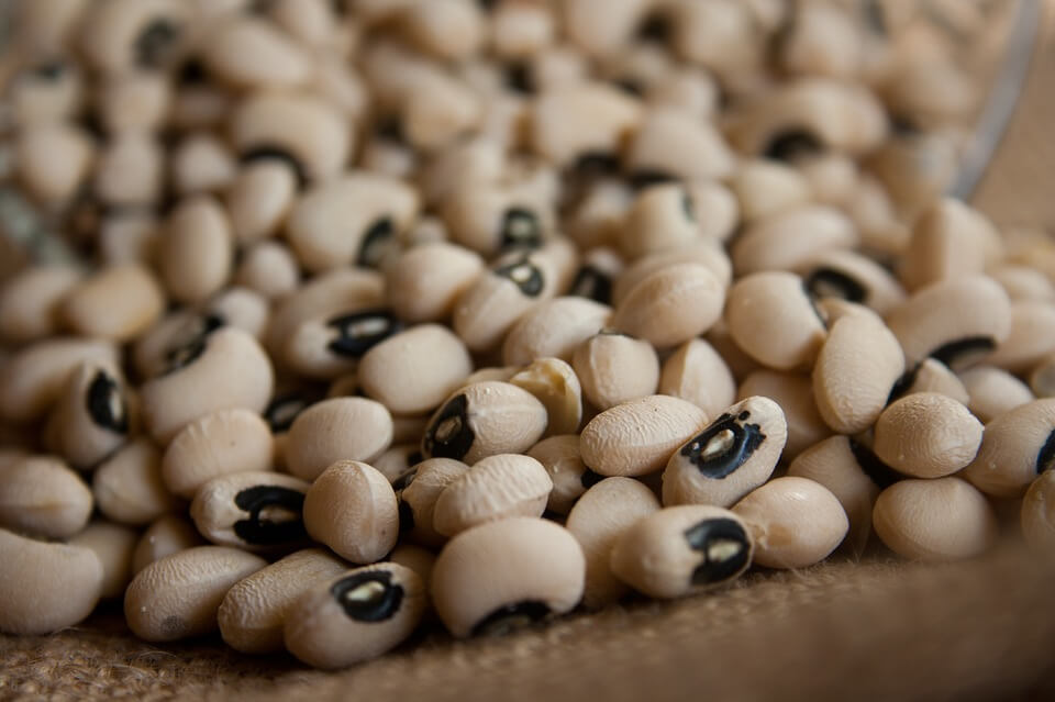 white kidney beans