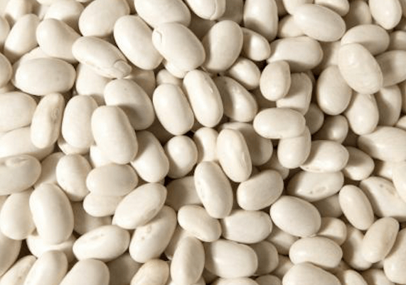 White Kidney Bean (Phaseolus vulgaris) Herbal Monograph