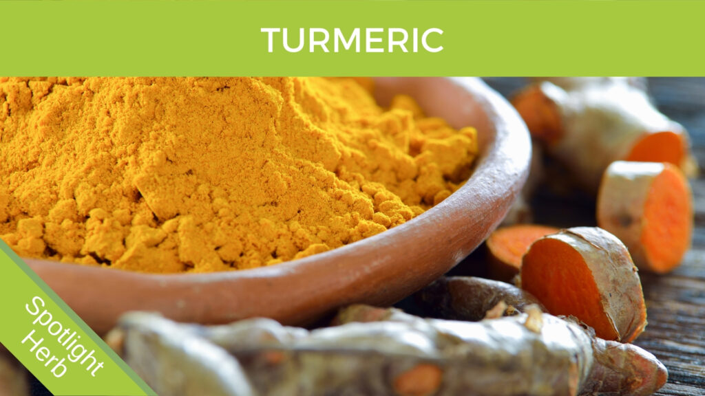 Turmeric Root and Powder