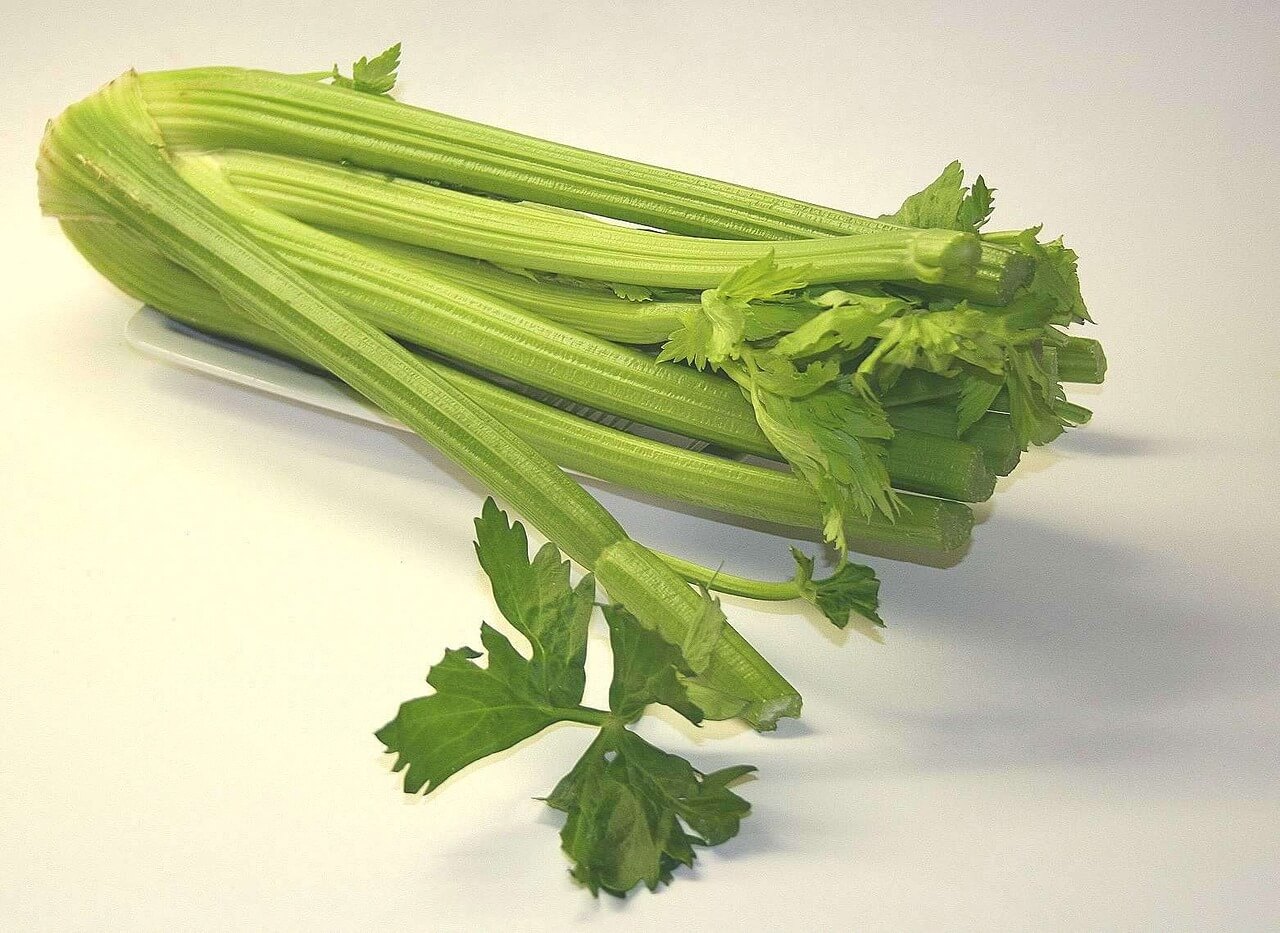 Celery (Apium Graveolens) Health Benefits Brett Elliott