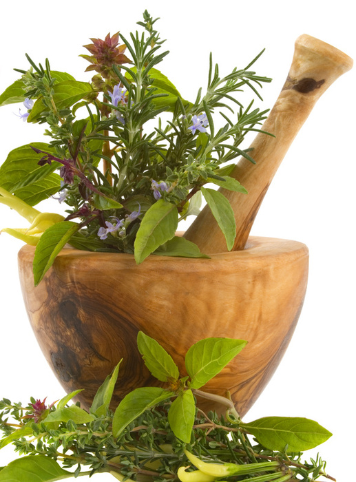 nutrition in herbs