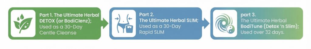 Brett Elliott Triple Combo Detox and Slim 12-week Process Flow