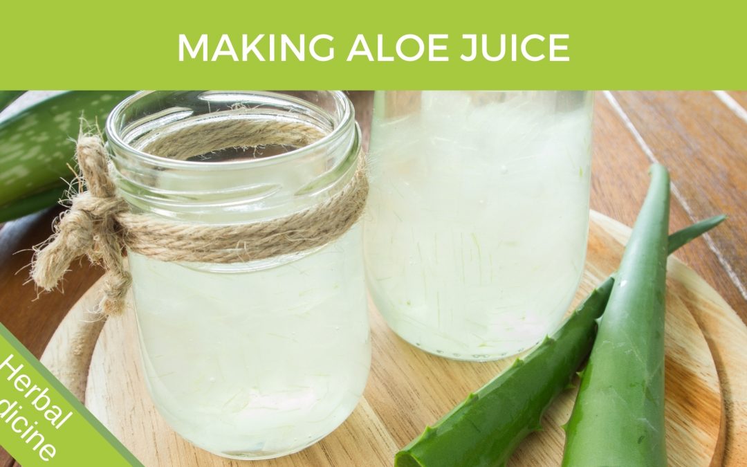 Aloe Vera Juice – Making your own