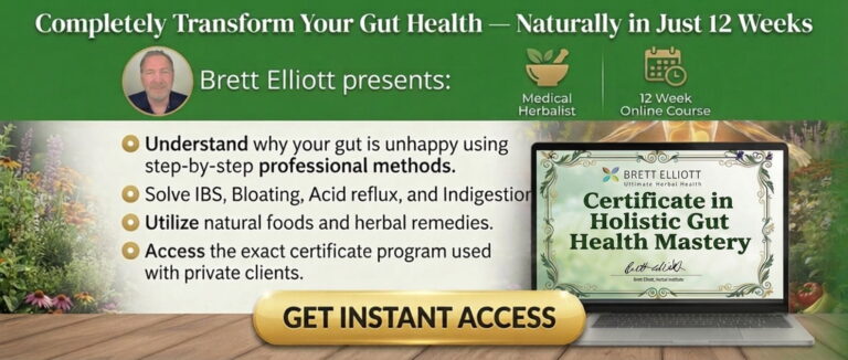 Holistic Gut Health Mastery Online Herbal Course