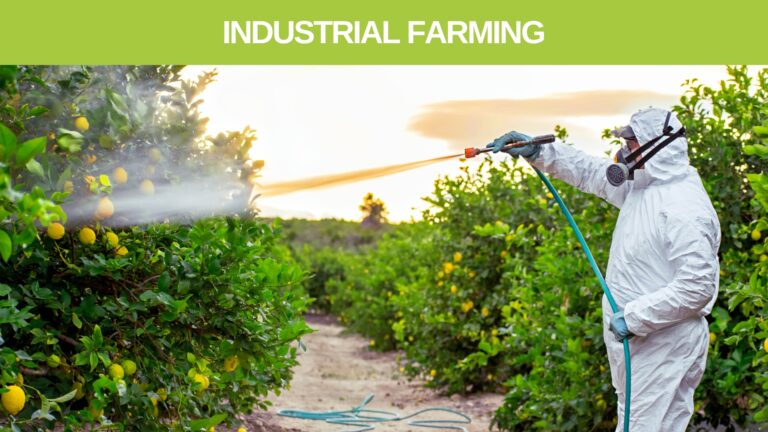 industrial farming toxins