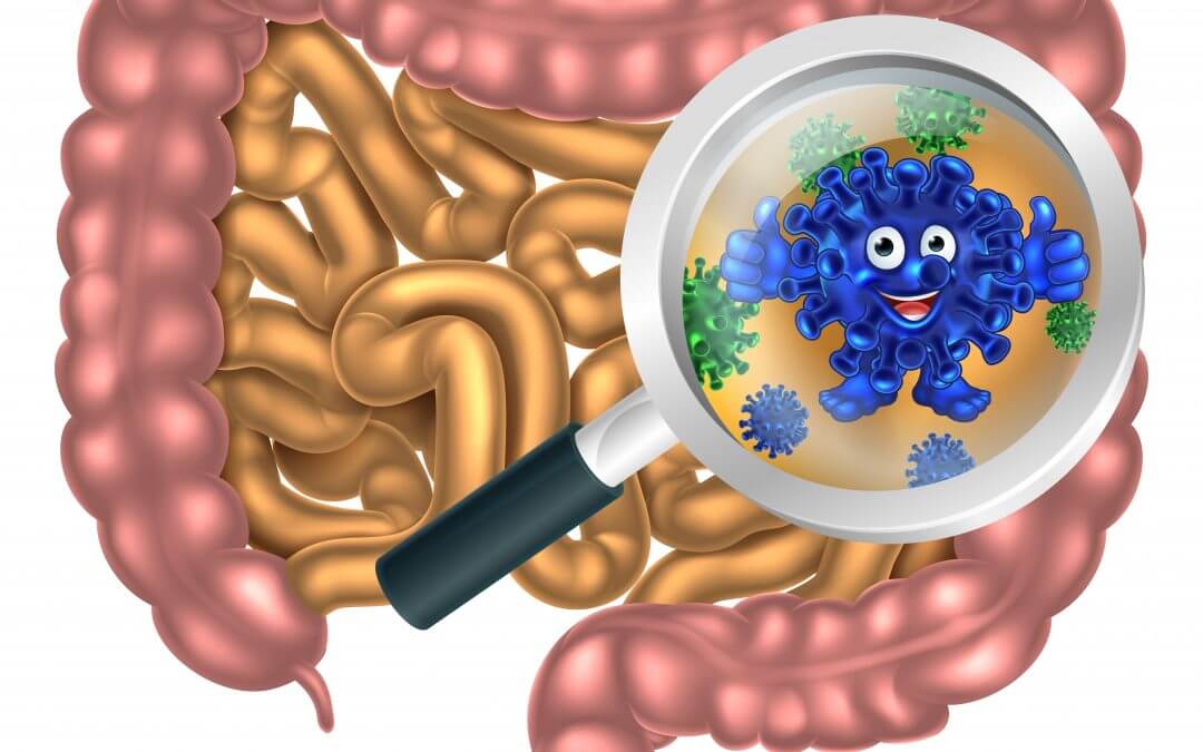 Understanding Digestive Enzymes in Food Brett Elliott