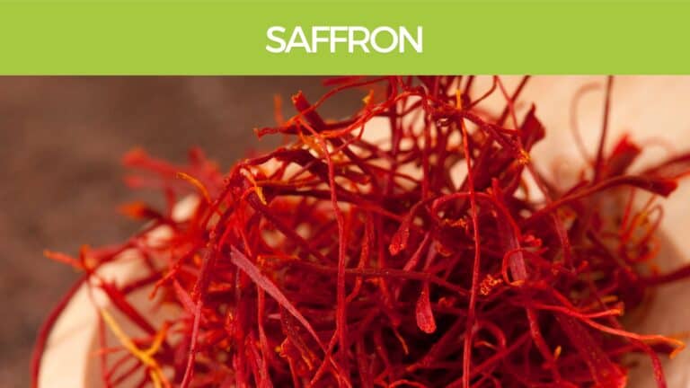 Saffron herb for brain health