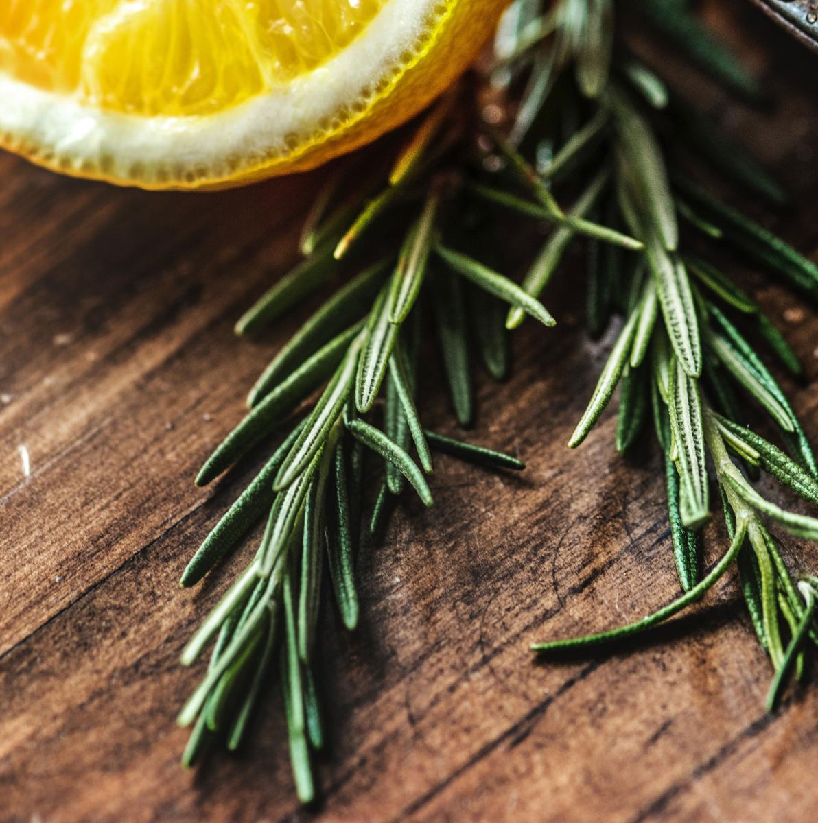 rosemary herb