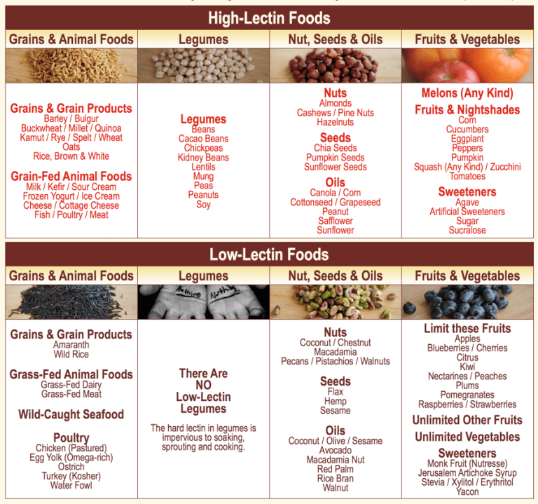 Considering a Lectin Free Diet? Brett Elliott