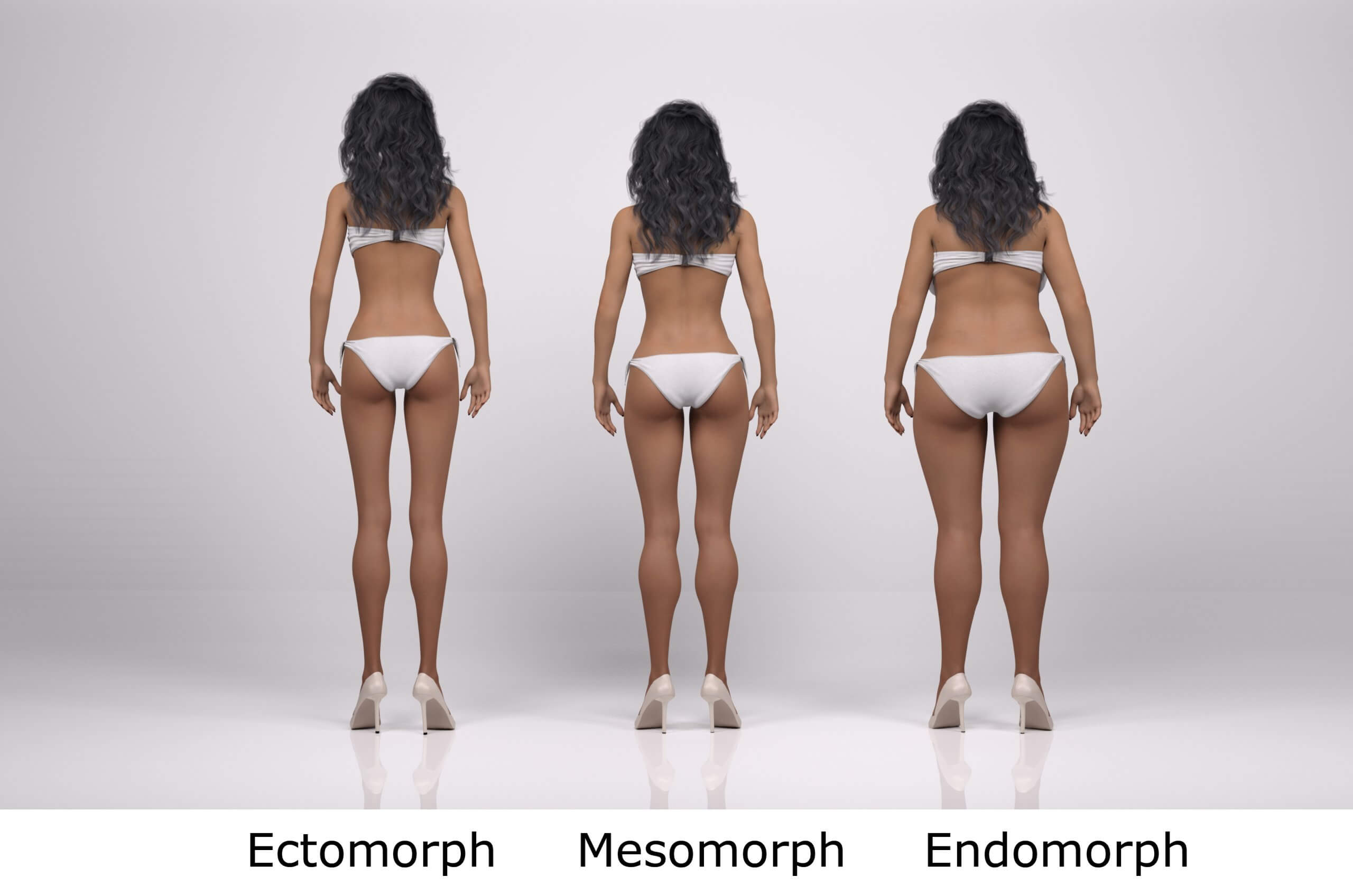 female body types