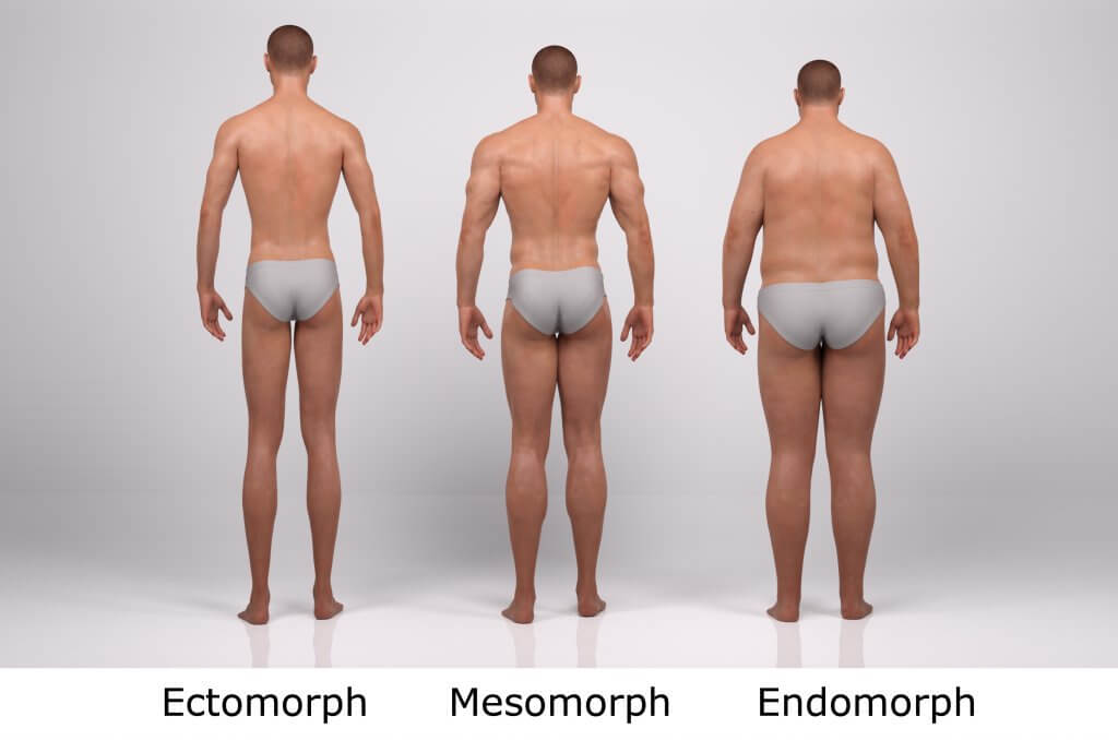 male body types