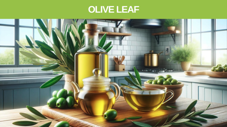 Olive leaf tea