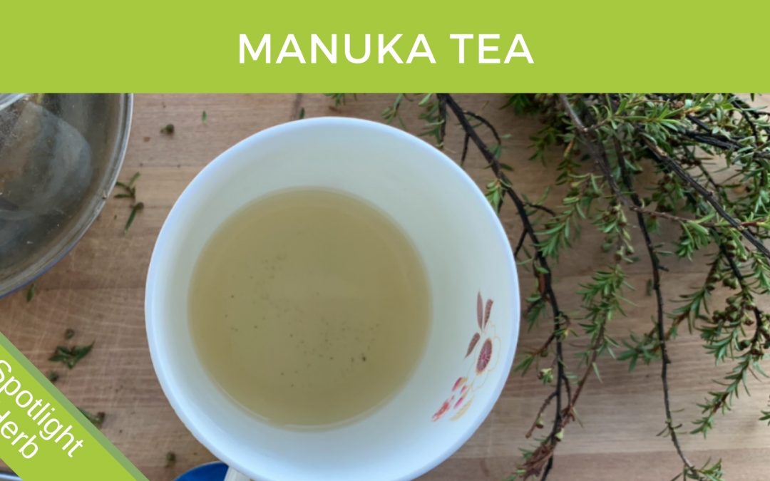 Manuka Tea Tree – Making Herbal Tea at Home