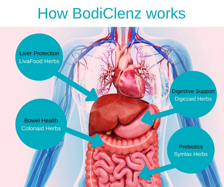 how bodiclenz work infographic