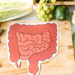 Illustration of an Intestine Surrounded by Vegetables