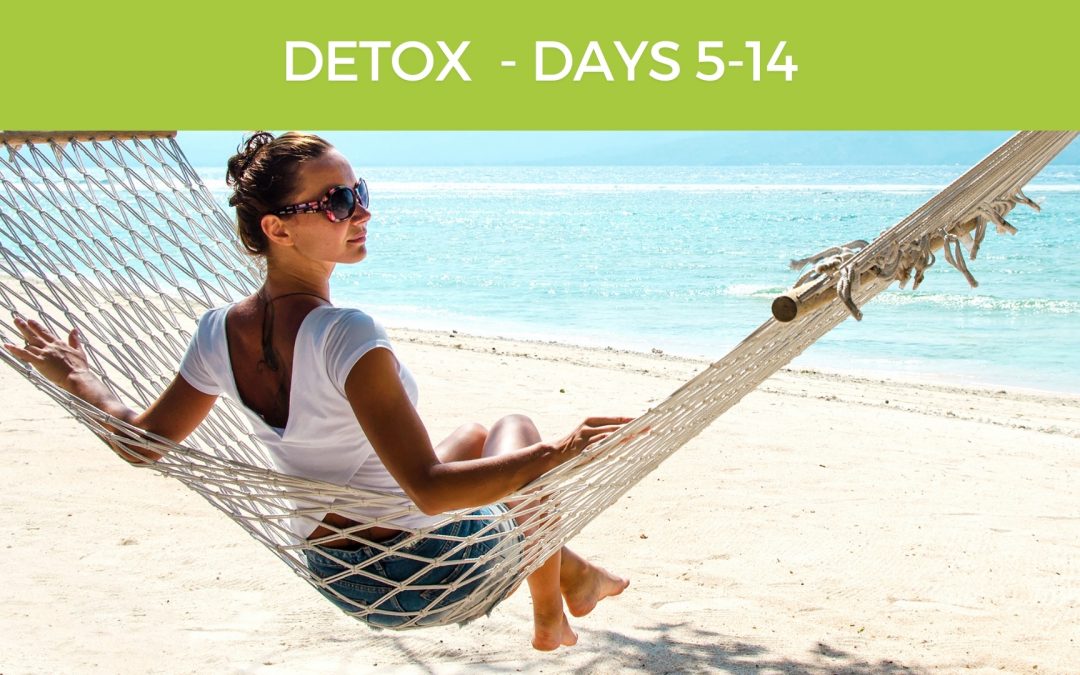 Herbal Detox & BodiClenz – Deep Cleanse Days 5-14