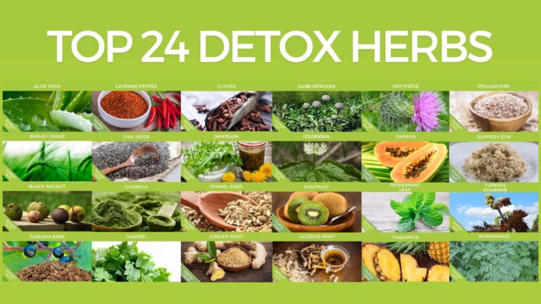 Top 24 Detox Herbs