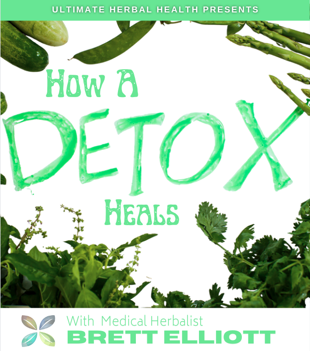 How a Detox Heals