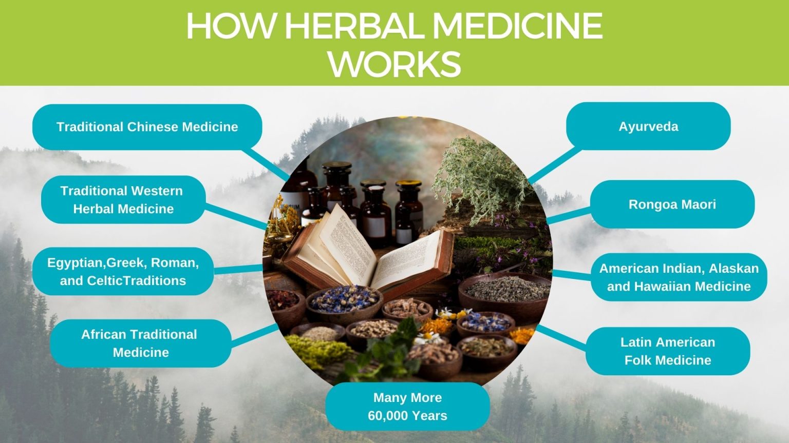 Ginkgo (Ginkgo Biloba) Herbal Monograph Brett Elliott